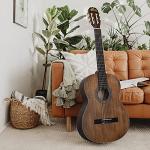 Winzz 39-Inch Brown Classical Guitar for Beginners