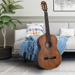 Winzz 39-Inch Brown Classical Guitar for Beginners