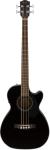 Fender Acoustic Bass Guitar with Fishman Pickup