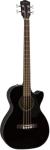 Fender Acoustic Bass Guitar with Fishman Pickup