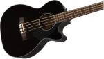 Fender Acoustic Bass Guitar with Fishman Pickup