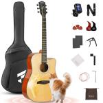 Fesley X 41" Acoustic Guitar Kit for Beginners