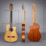 Wishmade 39" Thin Body Acoustic-Electric Guitar