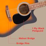 Fender FA Series Dreadnought Acoustic-Electric Guitar Bundle