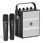 100W Bluetooth Speaker with 2 Wireless Microphones