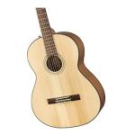 Fender CN-60S Concert Nylon String Acoustic Guitar