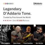 D'Addario EJ11 Light Gauge Acoustic Guitar Strings