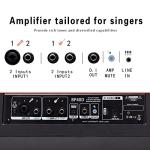 Coolmusic BP40D Portable 80W Acoustic Guitar Amplifier