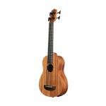 Nomad Acoustic-Electric U•BASS® Bass Guitar
