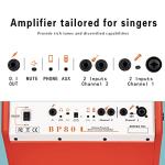 Coolmusic BP80 Portable 100W Acoustic Guitar Amp