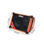 Coolmusic BP80 Portable 100W Acoustic Guitar Amp