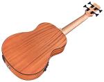 Cordoba Mini II Acoustic-Electric Bass Guitar