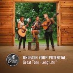 Elixir 80/20 Bronze Acoustic Guitar Strings 12-53