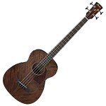 Ibanez PCBE12 Acoustic Bass Guitar - 4 Strings