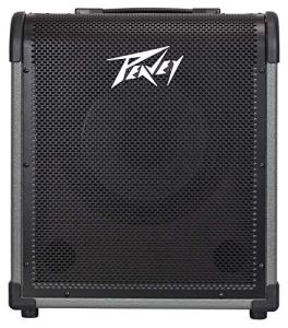 Peavey MAX 100 Bass Amplifier Combo