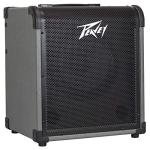 Peavey MAX 100 Bass Amplifier Combo