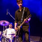 LEKATO Flower Guitar Strap with Pick Holder and Picks