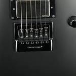 ESP LTD EC-1000 Evertune Electric Guitar - Black