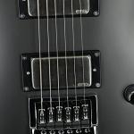 ESP LTD EC-1000 Evertune Electric Guitar - Black