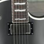 ESP LTD EC-1000 Evertune Electric Guitar - Black