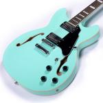 Redid RD-100 Semi-Hollow Electric Guitar - Green
