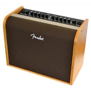 Fender Acoustic Guitar Amp with Bluetooth Speaker