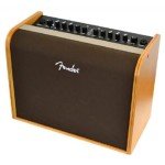 Fender Acoustic Guitar Amp with Bluetooth Speaker