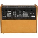 Fender Acoustic Guitar Amp with Bluetooth Speaker