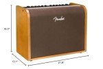 Fender Acoustic Guitar Amp with Bluetooth Speaker