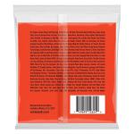 Ernie Ball 8-String Skinny Top Heavy Bottom Strings