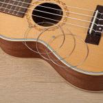 Molain 20 Pack Acoustic Guitar High E Strings