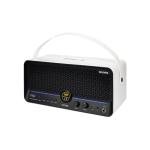 MOOER F40i Smart Touchscreen Guitar Amp 40W