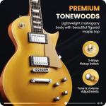 Fesley LP Electric Guitar with Mahogany Body