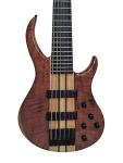 IYV IBSY-600 Neck-Through Sycamore 6-String Bass