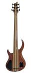 IYV IBSY-600 Neck-Through Sycamore 6-String Bass