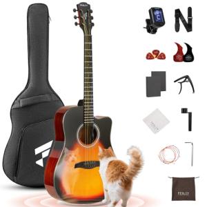 Fesley X 41-Inch Acoustic Guitar Kit for Beginners