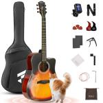 Fesley X 41-Inch Acoustic Guitar Kit for Beginners