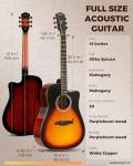 Fesley X 41-Inch Acoustic Guitar Kit for Beginners