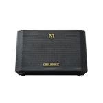Coolmusic 300W Acoustic Guitar Amp with Effects