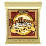 Ernie Ball Earthwood 80/20 Bronze Acoustic Strings
