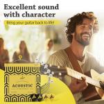 BELFORT® Premium Acoustic Guitar Strings Set - Bonus Picks