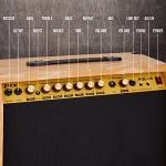 LyxPro 40W Electric Guitar Amplifier with Custom EQ