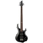 ESP F-105 Black 5-String Electric Bass Bundle