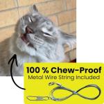 Chew-Proof Replacement Strings for Cat Toys