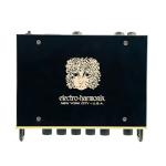 Electro-Harmonix ABRAMS100 100W Guitar Amplifier Head