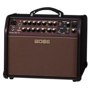 Boss Acoustic Singer 60W Bi-Amp Combo Amplifier