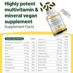 High Strength Vegan Multivitamins with Vitamin B12 & D3