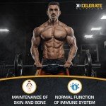 A-Z Vegan Multivitamins & Minerals for Men and Women