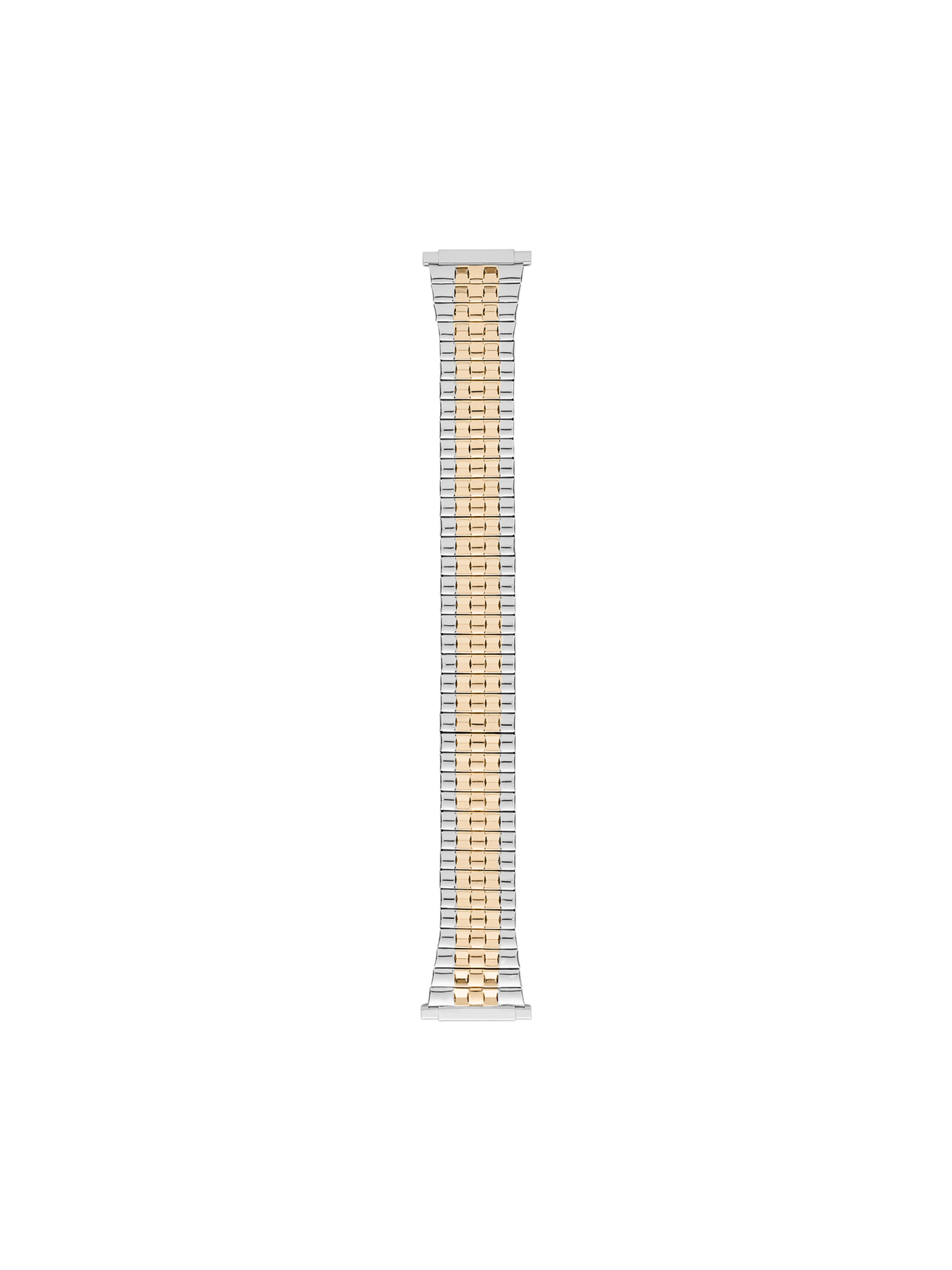 Silver and Gold Stainless Steel Watch Band