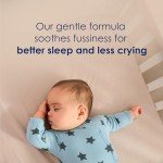 Kabrita Goat Milk Infant Formula - 28oz Easy Digest